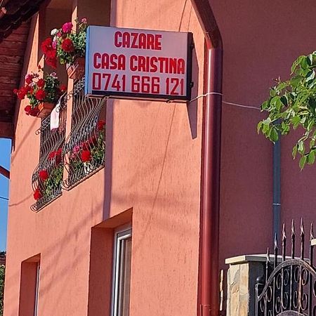 Casa Cristina Hotel Cîrţişoara Bagian luar foto