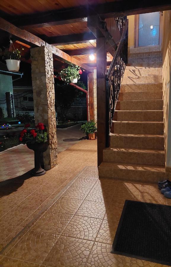 Casa Cristina Hotel Cîrţişoara Bagian luar foto