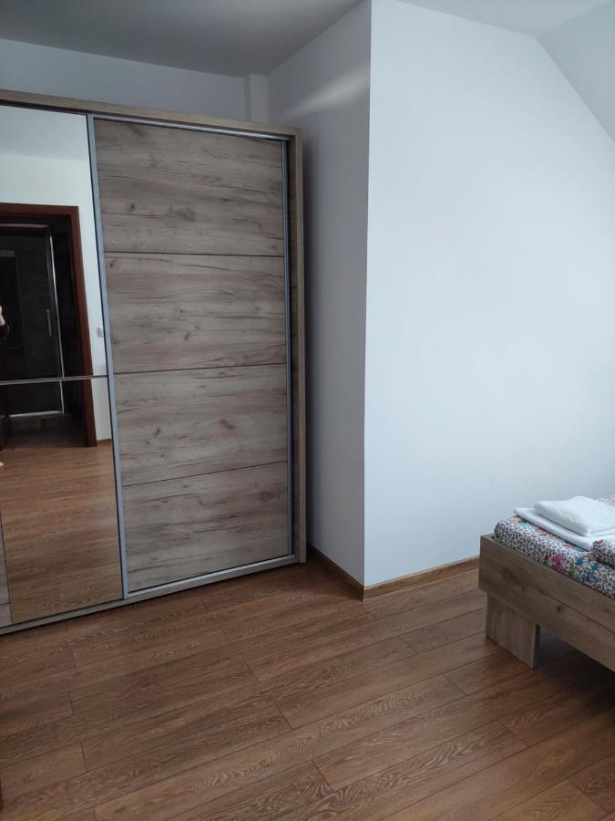 Casa Cristina Hotel Cîrţişoara Bagian luar foto