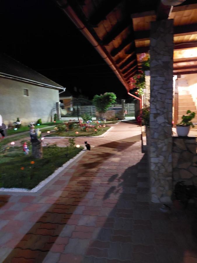 Casa Cristina Hotel Cîrţişoara Bagian luar foto