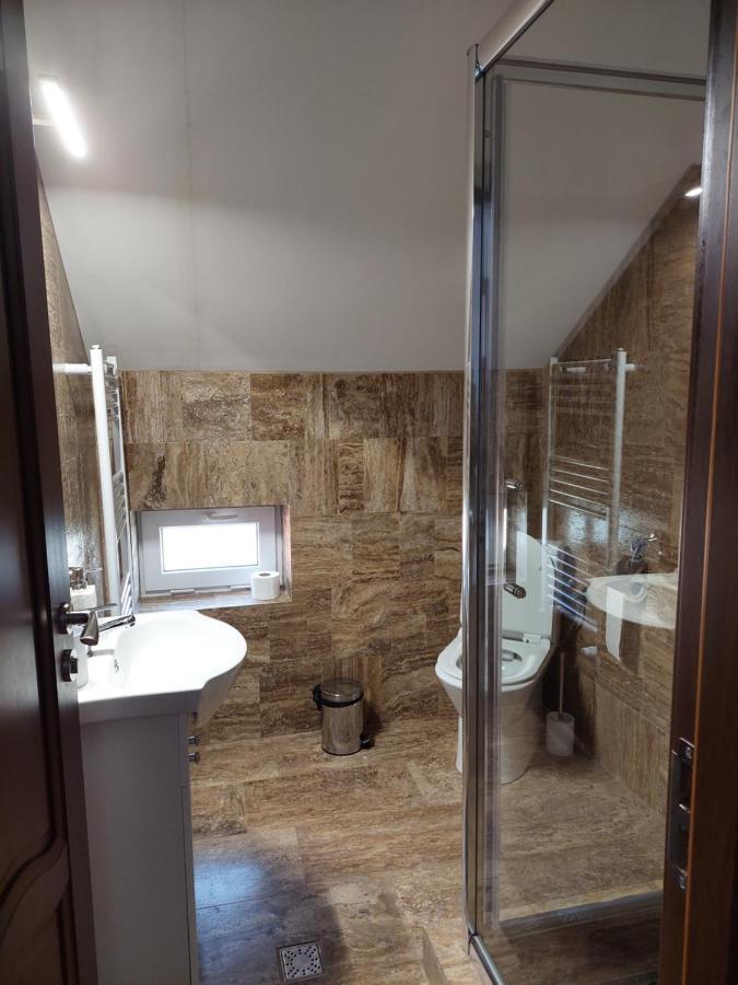 Casa Cristina Hotel Cîrţişoara Bagian luar foto