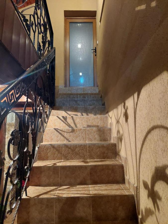 Casa Cristina Hotel Cîrţişoara Bagian luar foto