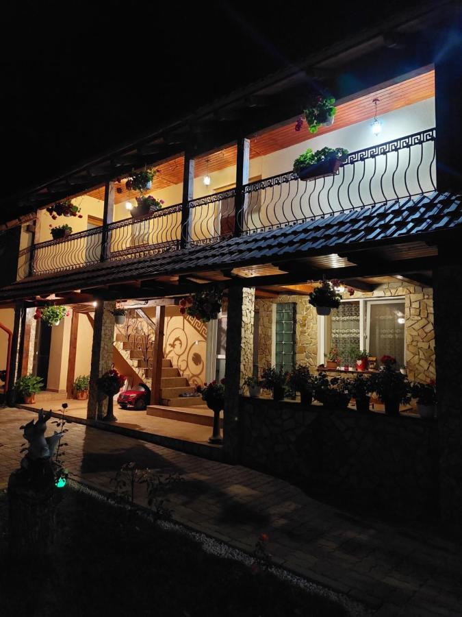 Casa Cristina Hotel Cîrţişoara Bagian luar foto