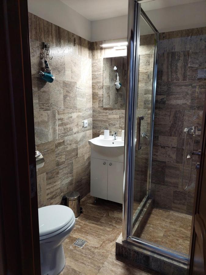Casa Cristina Hotel Cîrţişoara Bagian luar foto