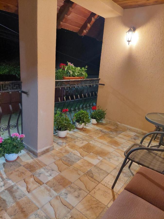 Casa Cristina Hotel Cîrţişoara Bagian luar foto