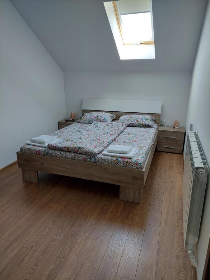 Casa Cristina Hotel Cîrţişoara Bagian luar foto