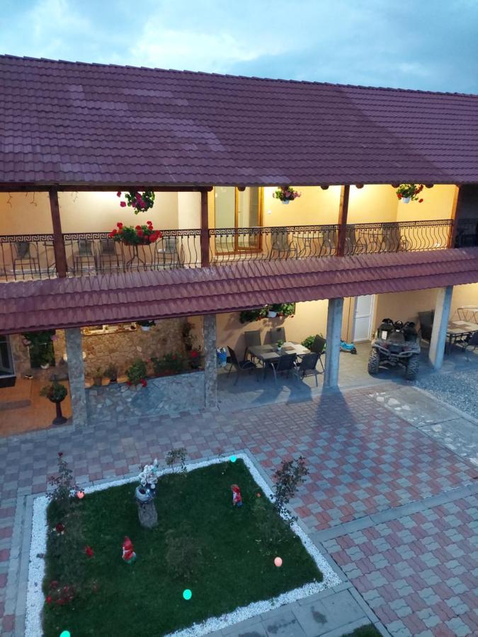 Casa Cristina Hotel Cîrţişoara Bagian luar foto