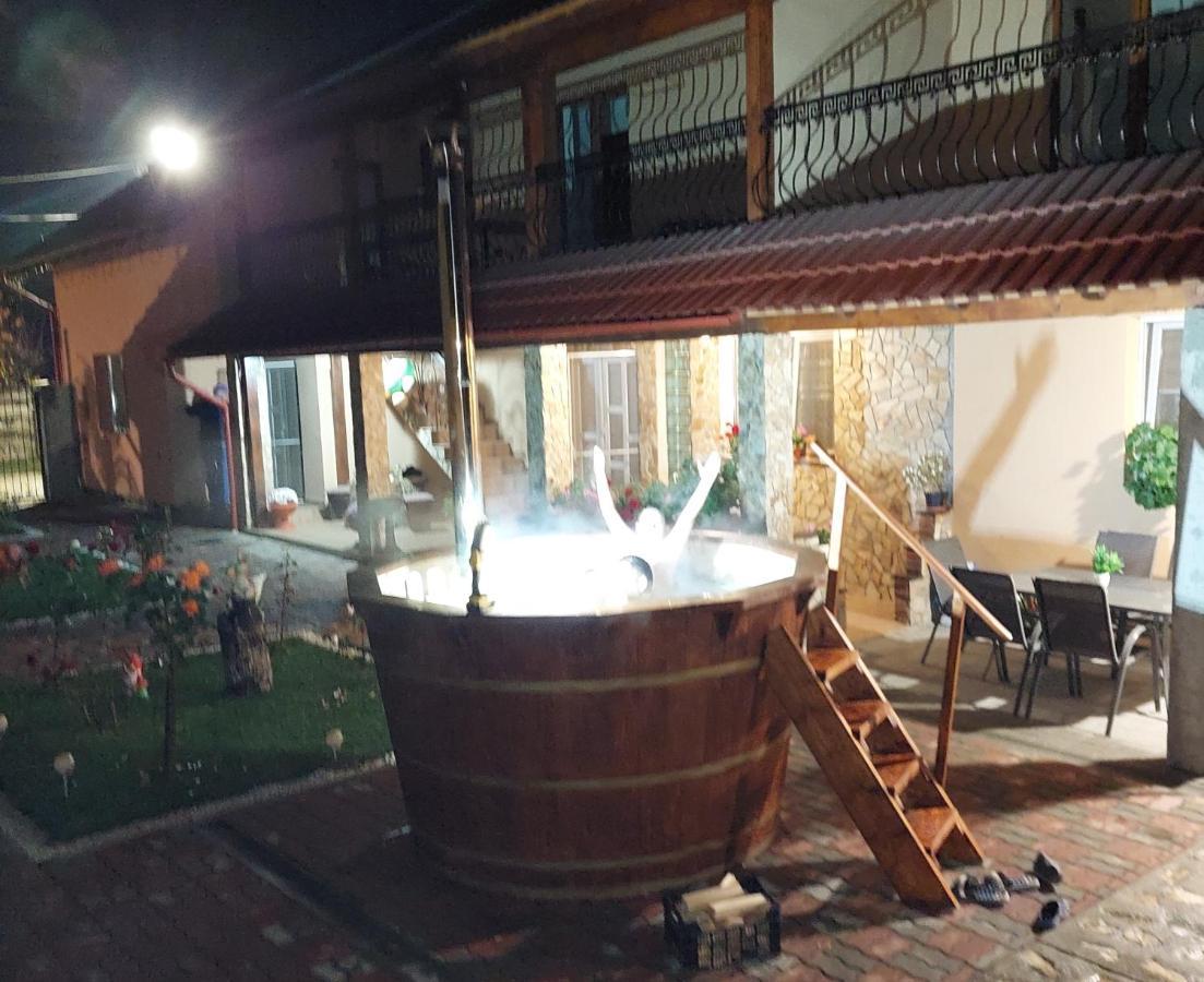 Casa Cristina Hotel Cîrţişoara Bagian luar foto
