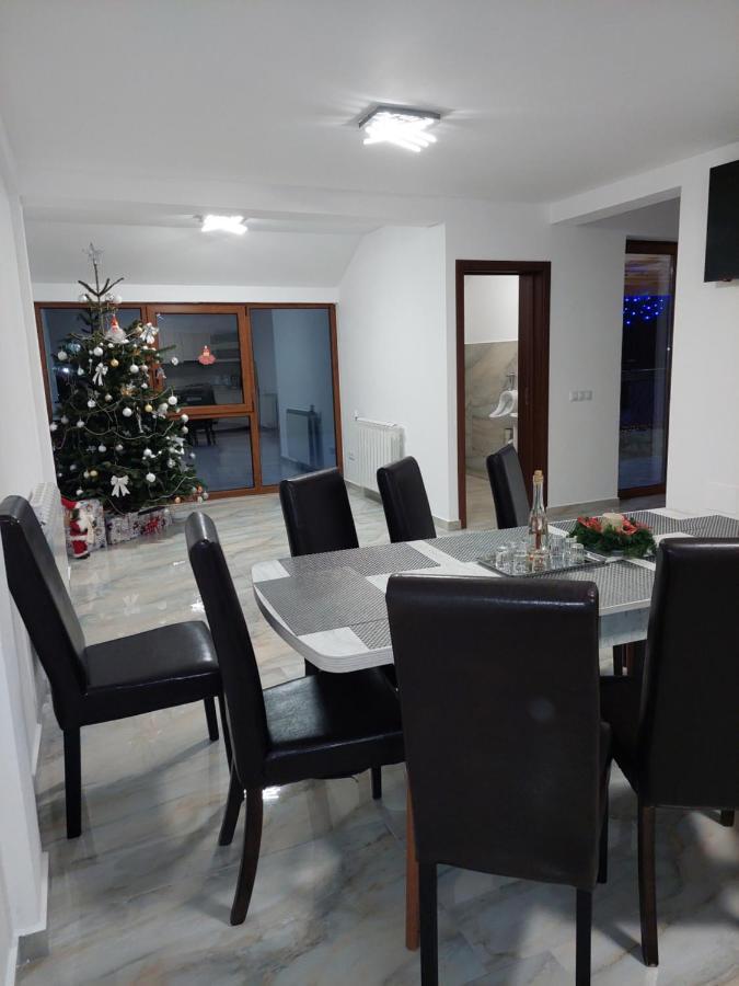 Casa Cristina Hotel Cîrţişoara Bagian luar foto