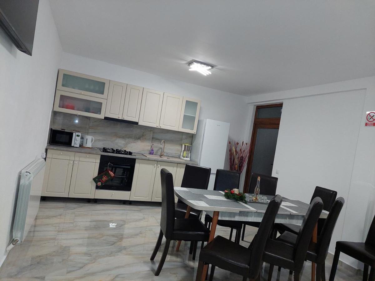 Casa Cristina Hotel Cîrţişoara Bagian luar foto