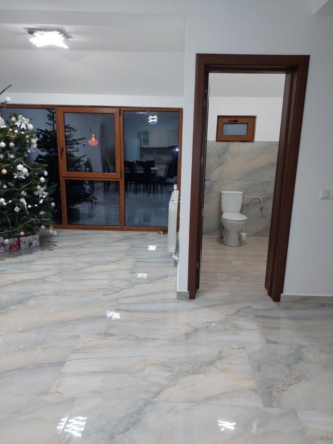 Casa Cristina Hotel Cîrţişoara Bagian luar foto