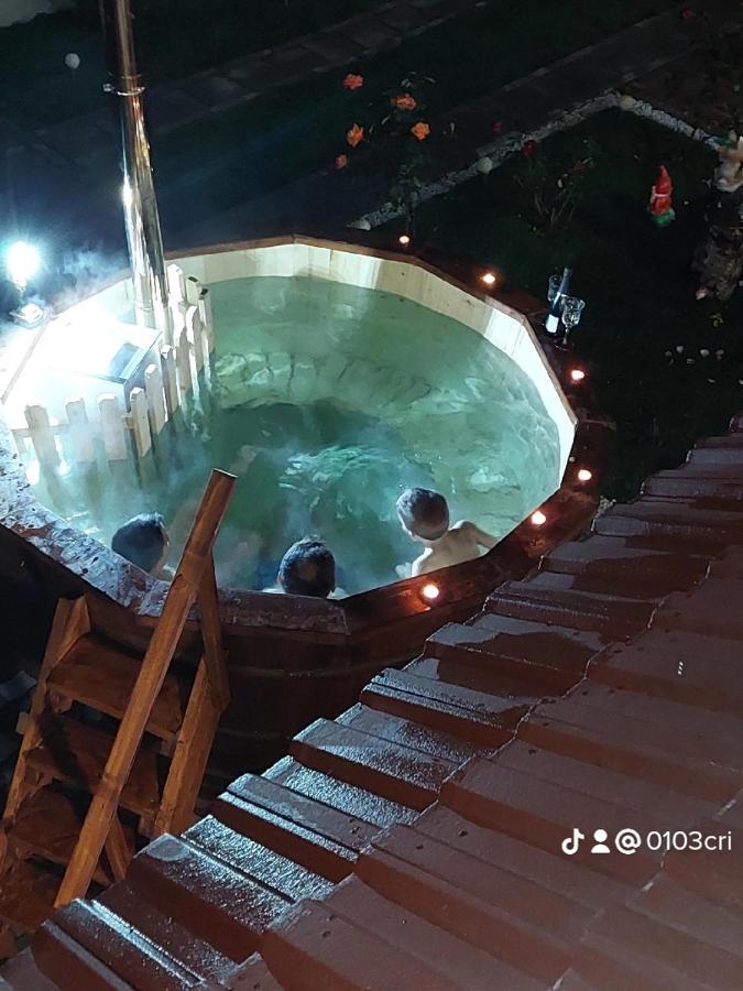 Casa Cristina Hotel Cîrţişoara Bagian luar foto