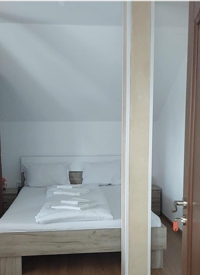 Casa Cristina Hotel Cîrţişoara Bagian luar foto