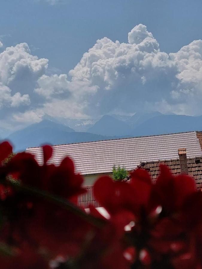Casa Cristina Hotel Cîrţişoara Bagian luar foto