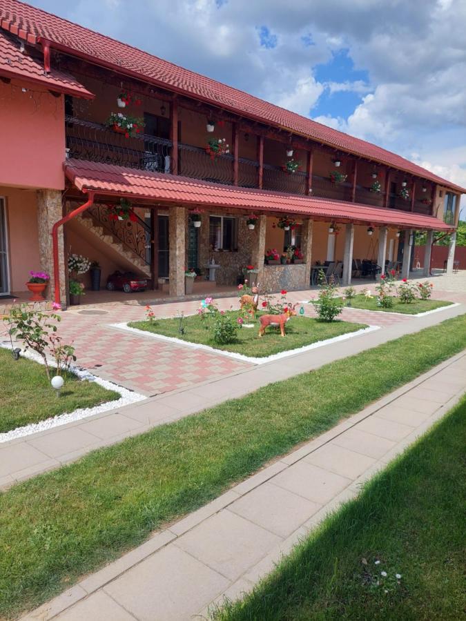 Casa Cristina Hotel Cîrţişoara Bagian luar foto