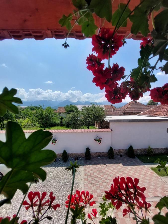 Casa Cristina Hotel Cîrţişoara Bagian luar foto