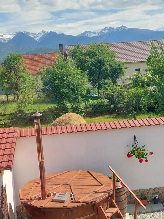 Casa Cristina Hotel Cîrţişoara Bagian luar foto