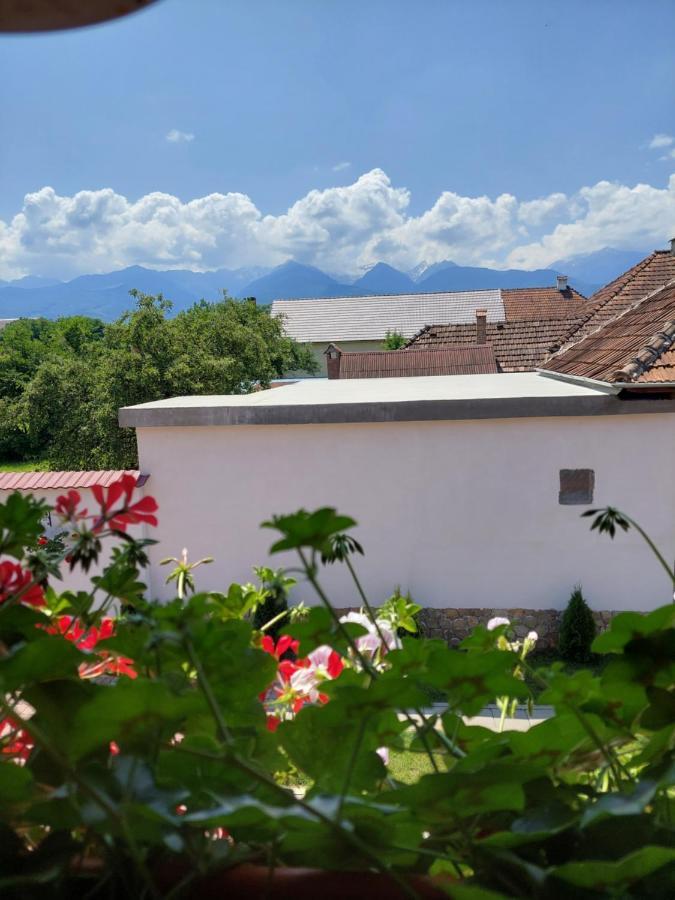 Casa Cristina Hotel Cîrţişoara Bagian luar foto