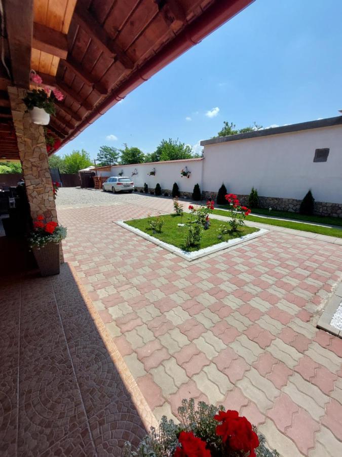Casa Cristina Hotel Cîrţişoara Bagian luar foto