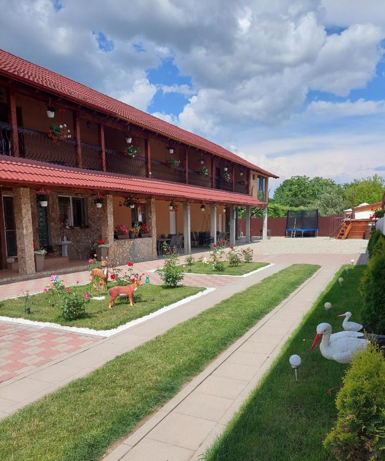 Casa Cristina Hotel Cîrţişoara Bagian luar foto