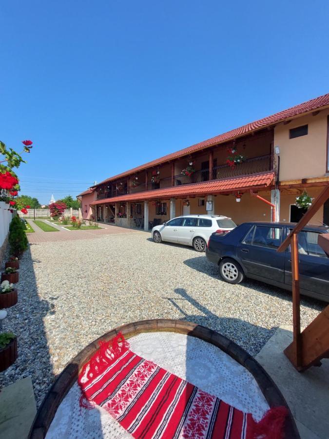 Casa Cristina Hotel Cîrţişoara Bagian luar foto