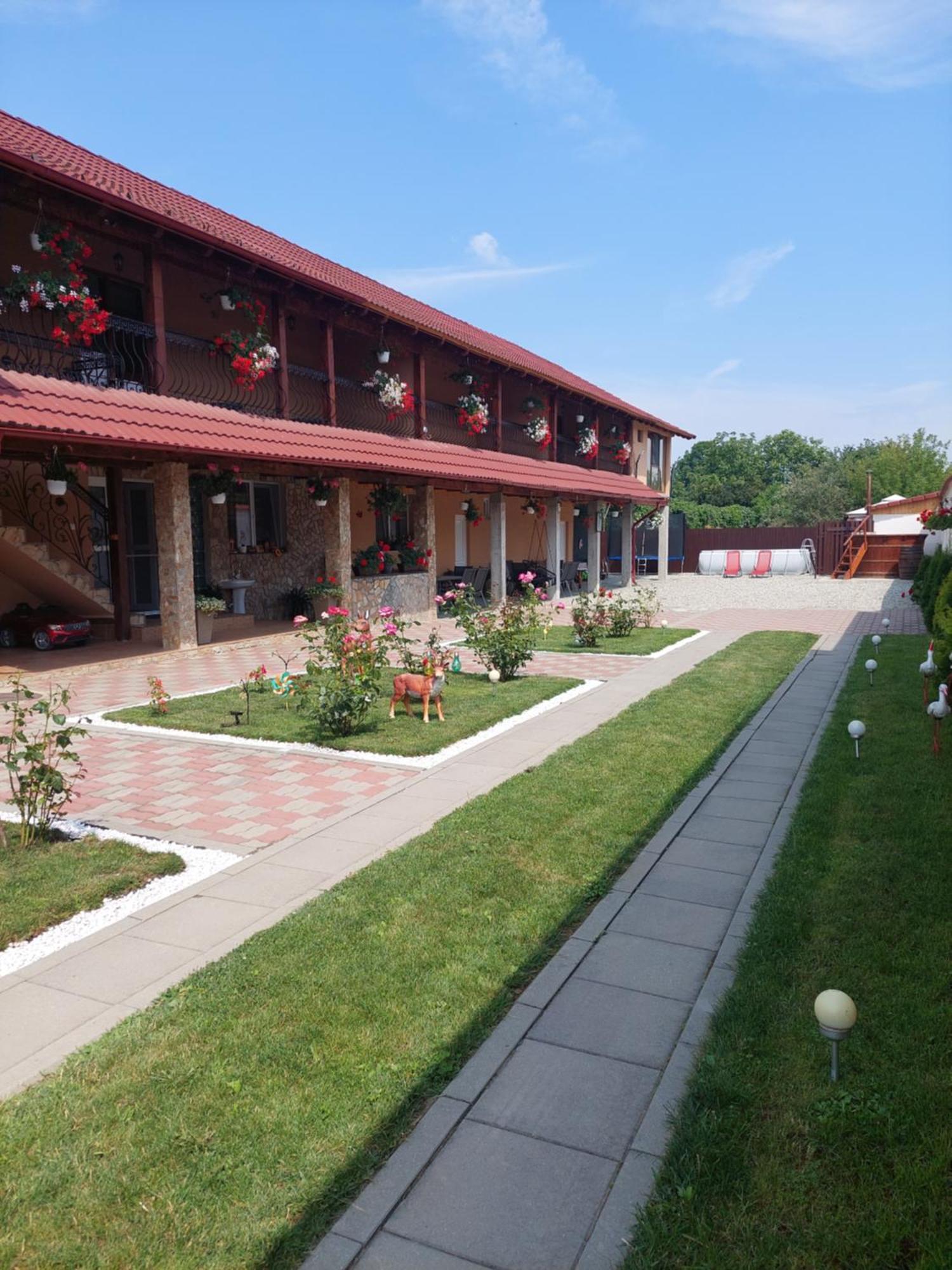 Casa Cristina Hotel Cîrţişoara Bagian luar foto