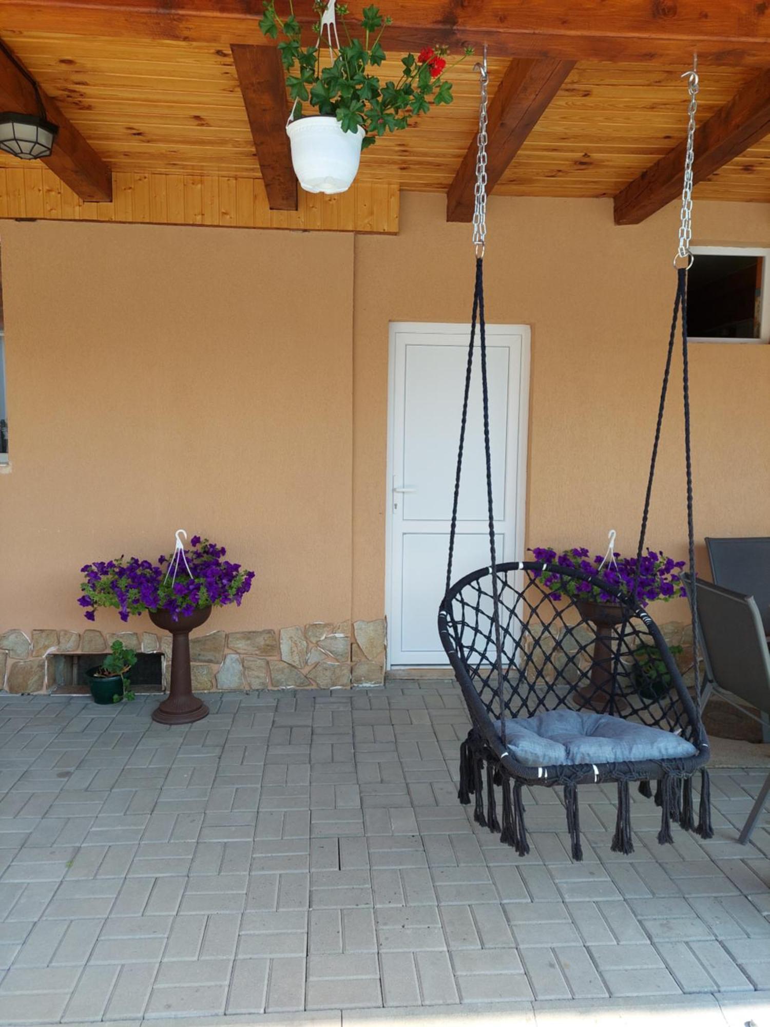Casa Cristina Hotel Cîrţişoara Bagian luar foto