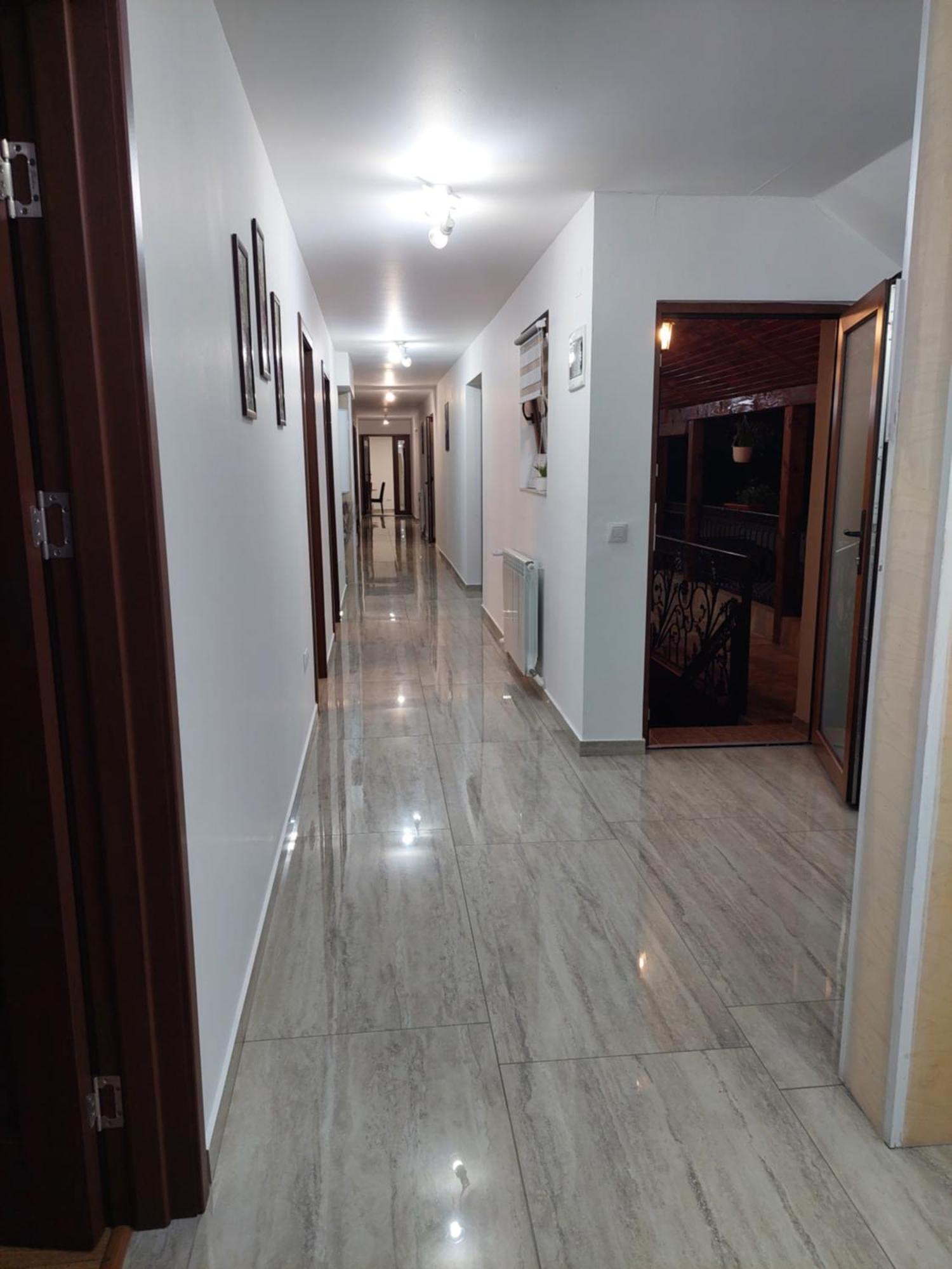 Casa Cristina Hotel Cîrţişoara Bagian luar foto